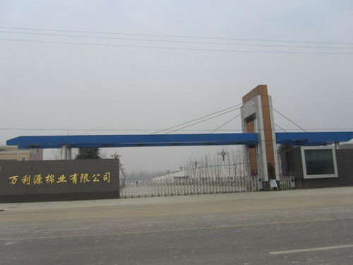 贵州万利源计算机系统集成 驱动数字化转型的专业力量